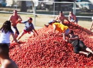 Tomatina Food Fight